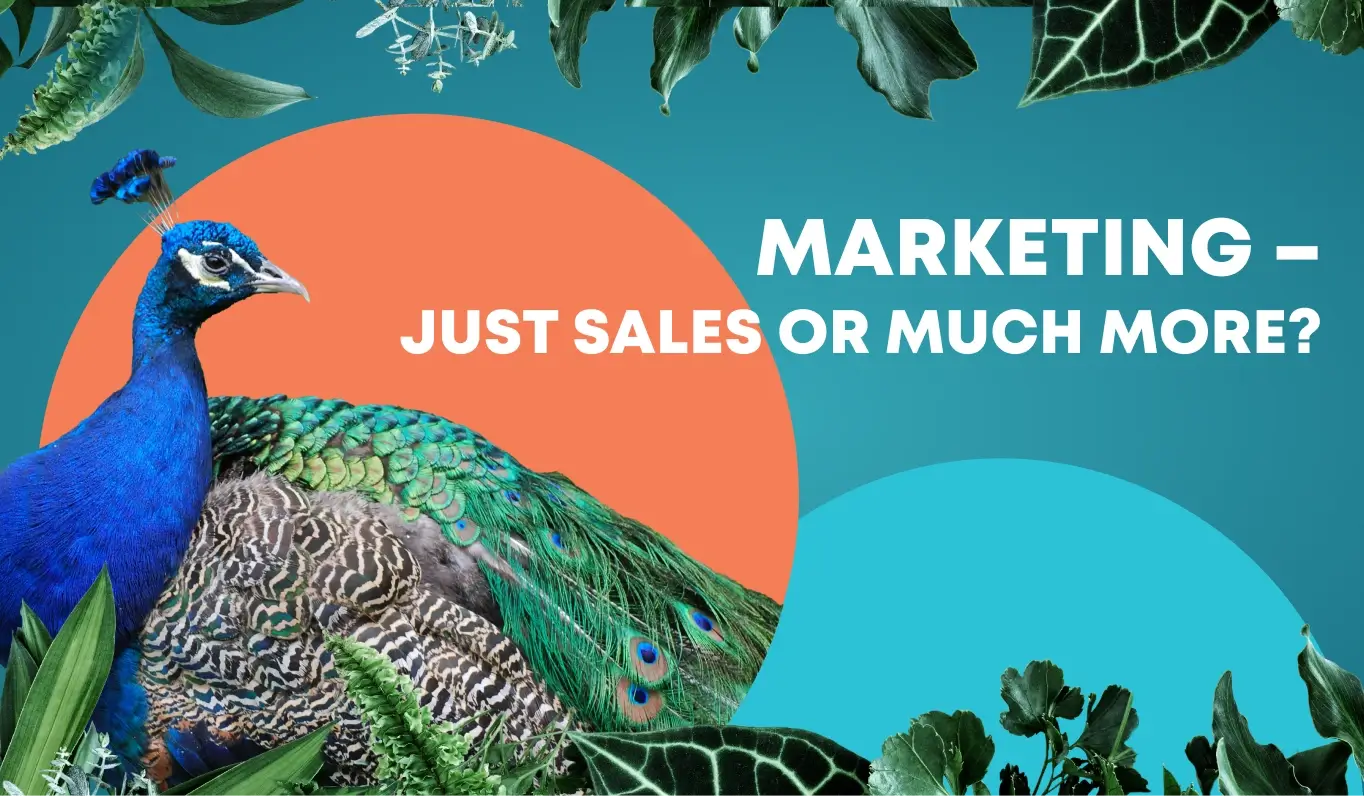 Marketing – Just Sales or Something More?