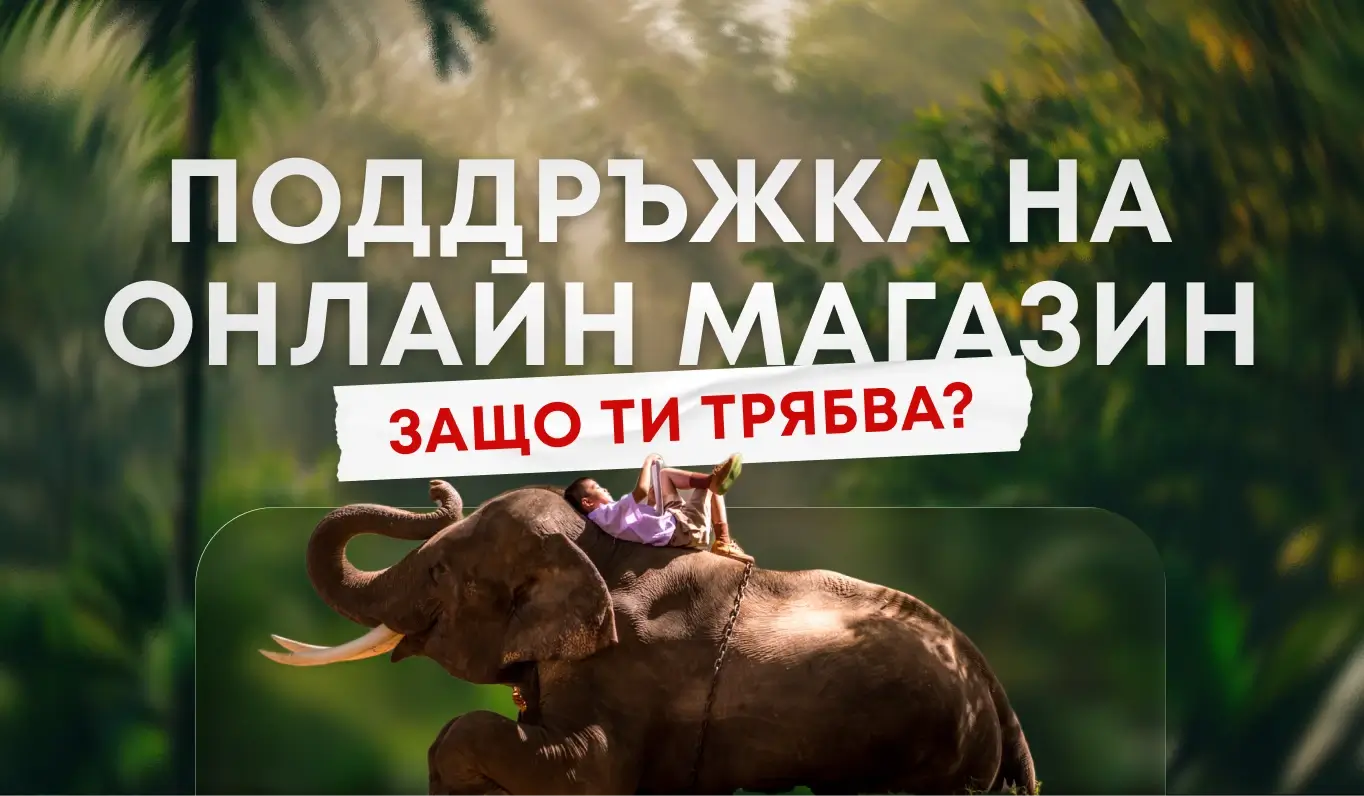 Поддръжка на онлайн магазин - защо е необходима
